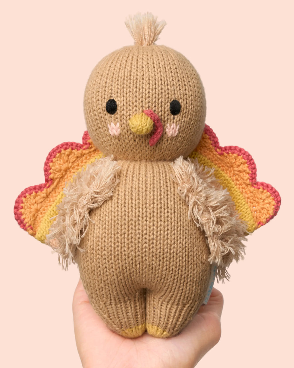 Baby turkey