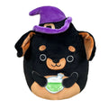 Squishmallow 8 Inch Mateo the Rottweiler with Potion Halloween Plush Toy *FINAL SALE*